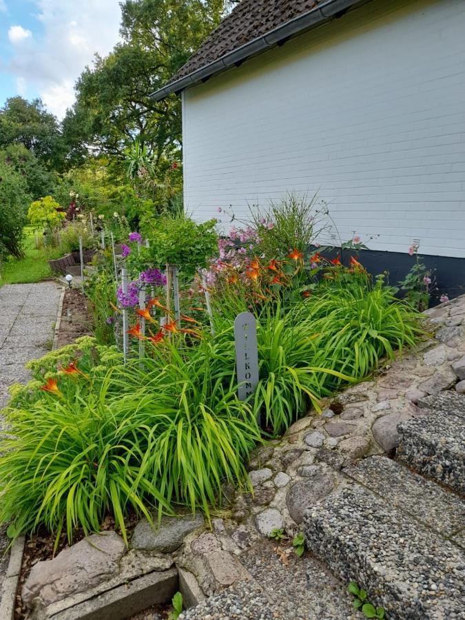 Haus Wald Und Wiese Wohnung Wiese Ehndorf Екстериор снимка